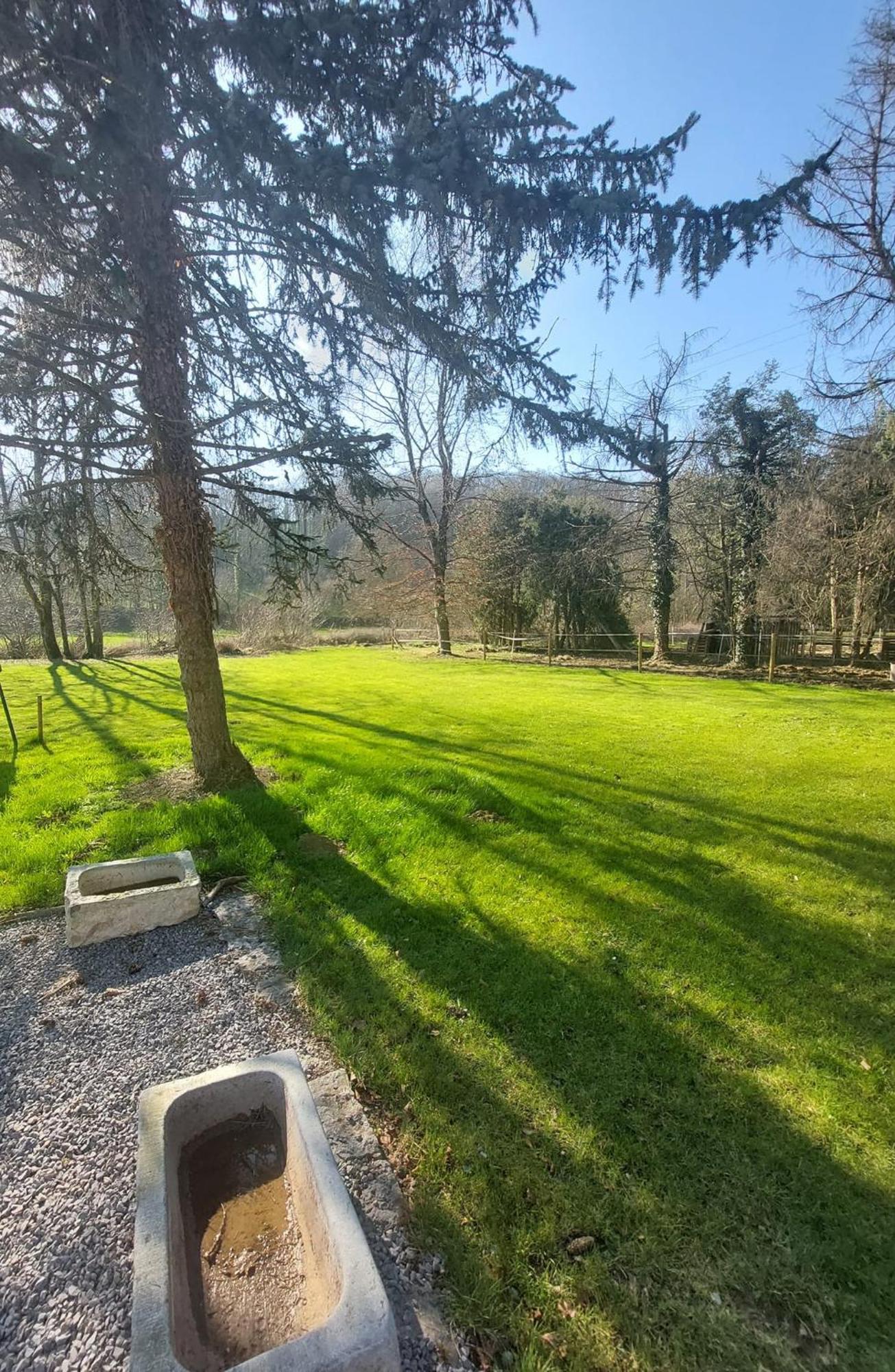 Au Doux Chardon Bed & Breakfast Durbuy Exterior foto