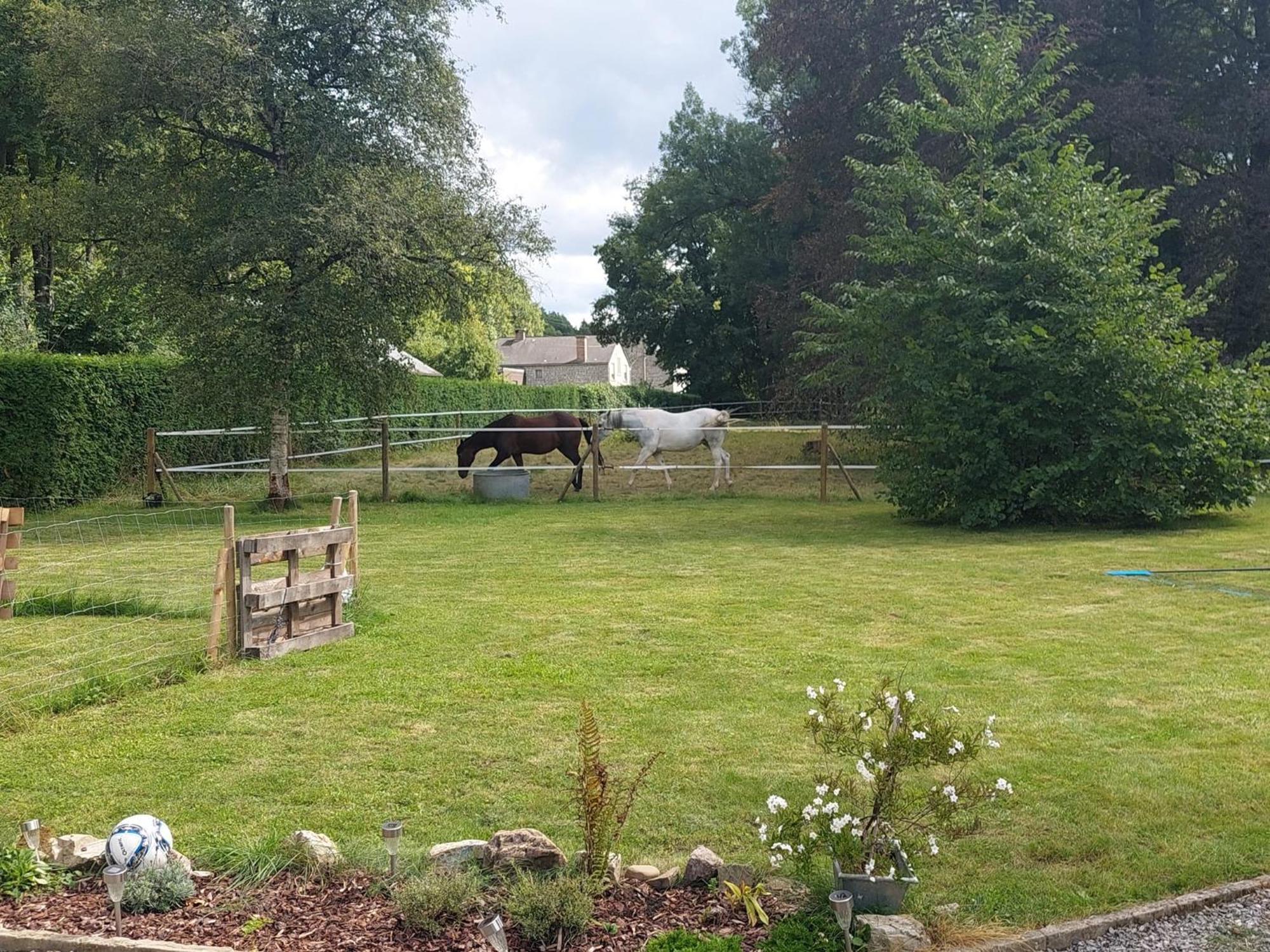 Au Doux Chardon Bed & Breakfast Durbuy Exterior foto